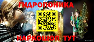 шишки Будённовск