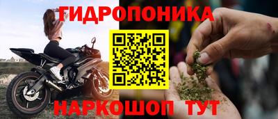шишки Будённовск