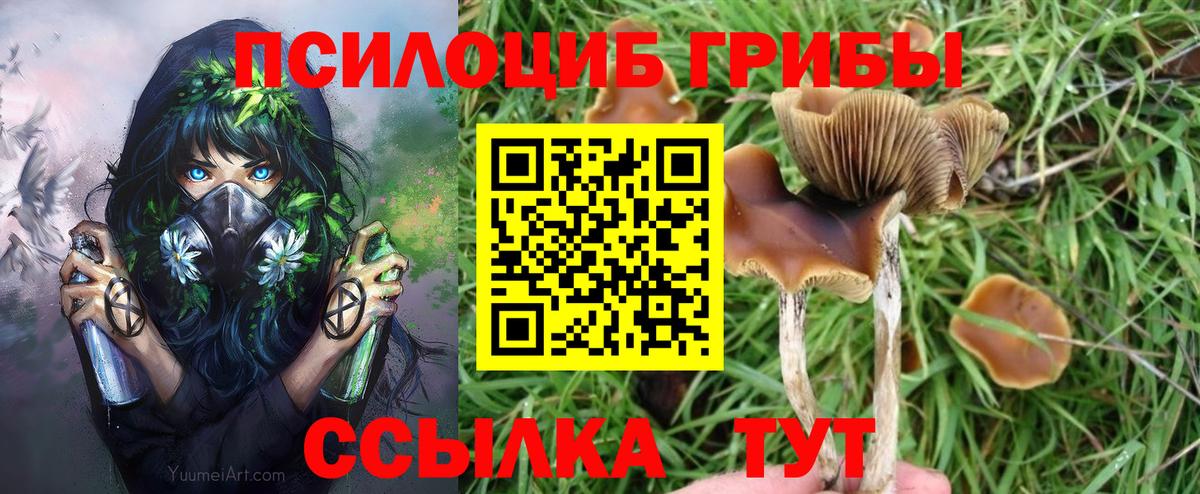 Псилоцибиновые грибы мухоморы Нальчик